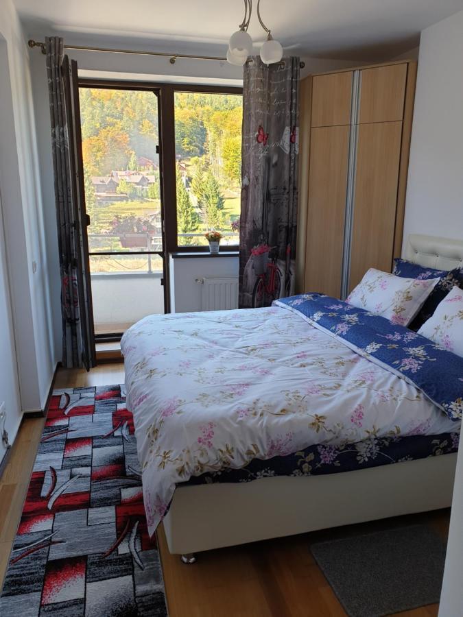 シナヤSophie Apartamentアパートメント エクステリア 写真