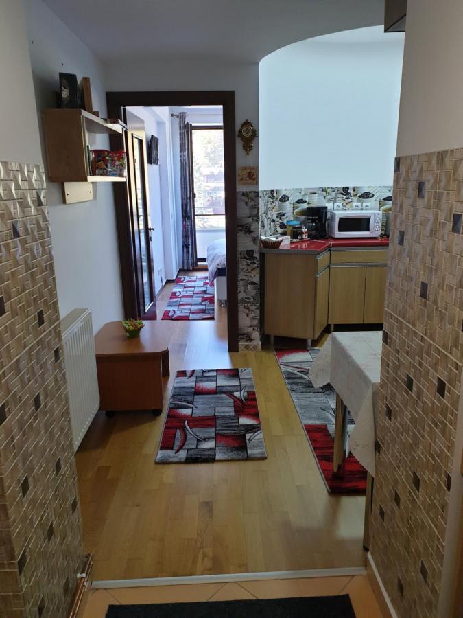 シナヤSophie Apartamentアパートメント エクステリア 写真