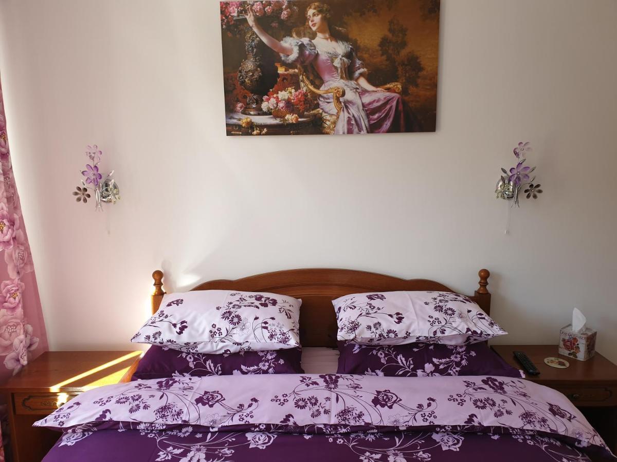 シナヤSophie Apartamentアパートメント エクステリア 写真