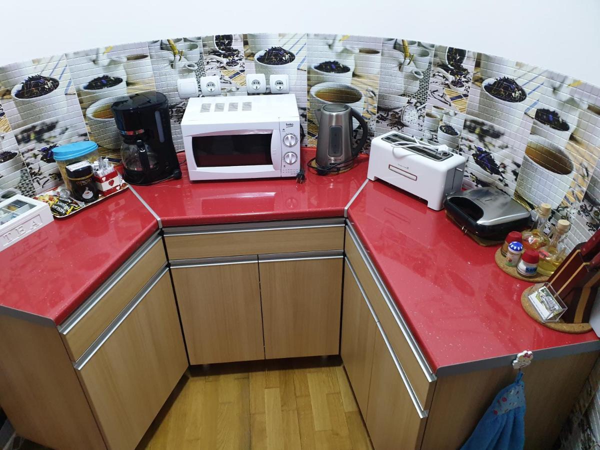 シナヤSophie Apartamentアパートメント エクステリア 写真
