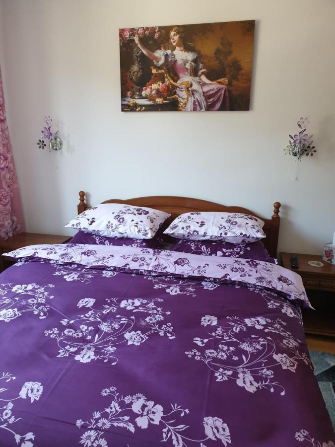シナヤSophie Apartamentアパートメント エクステリア 写真