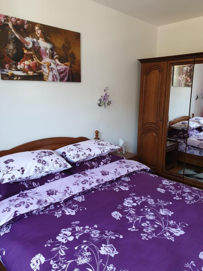 シナヤSophie Apartamentアパートメント エクステリア 写真