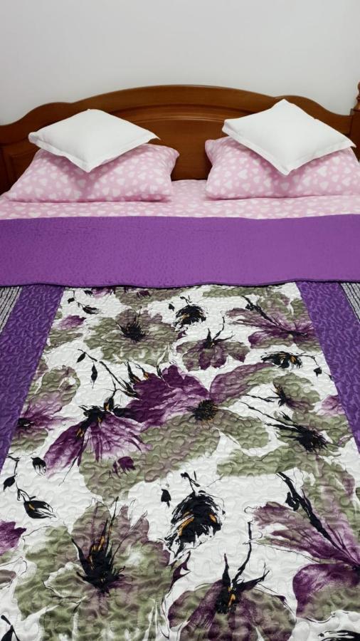 シナヤSophie Apartamentアパートメント エクステリア 写真