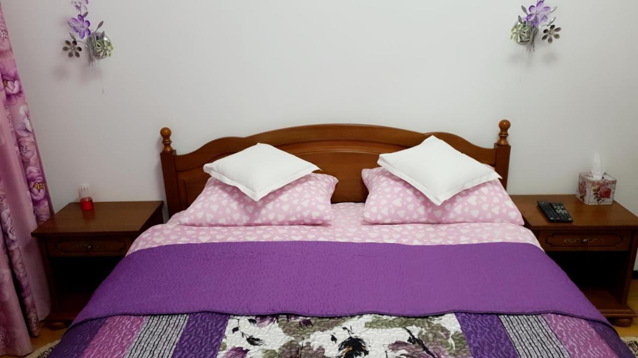 シナヤSophie Apartamentアパートメント エクステリア 写真