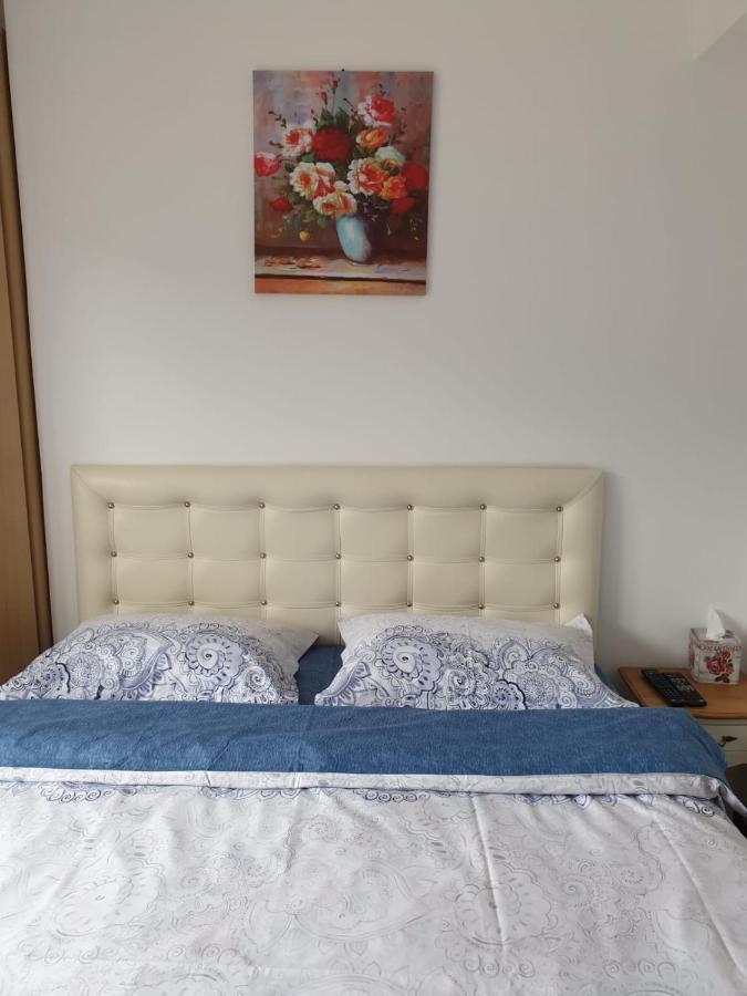 シナヤSophie Apartamentアパートメント エクステリア 写真
