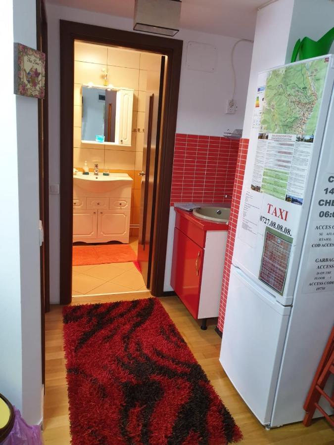 シナヤSophie Apartamentアパートメント エクステリア 写真