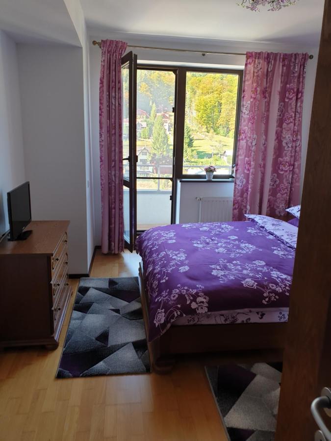 シナヤSophie Apartamentアパートメント エクステリア 写真