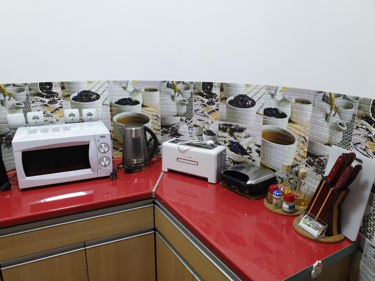 シナヤSophie Apartamentアパートメント エクステリア 写真