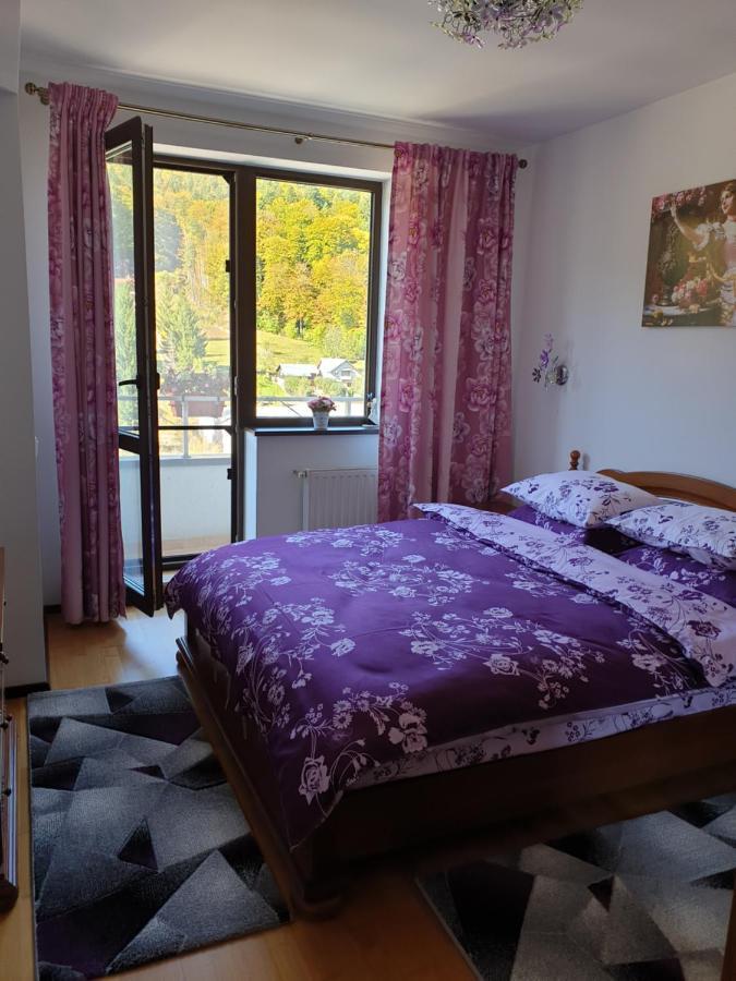 シナヤSophie Apartamentアパートメント エクステリア 写真