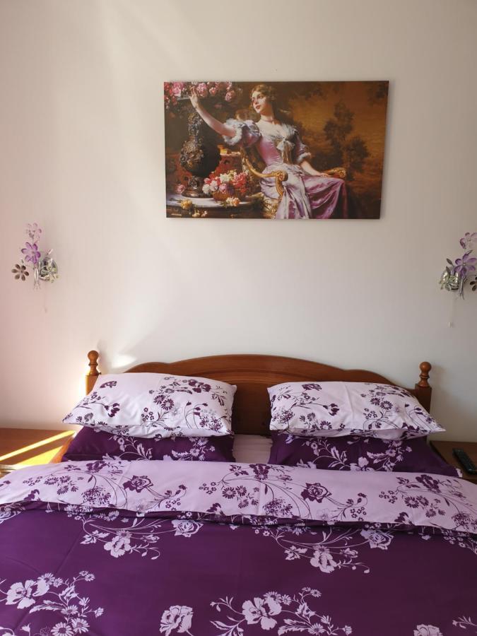 シナヤSophie Apartamentアパートメント エクステリア 写真