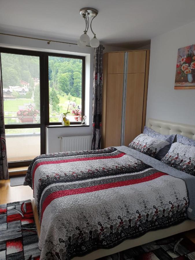 シナヤSophie Apartamentアパートメント エクステリア 写真