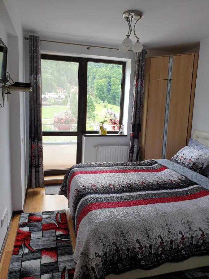 シナヤSophie Apartamentアパートメント エクステリア 写真