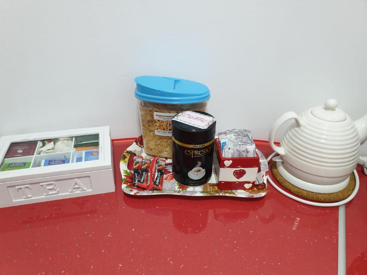 シナヤSophie Apartamentアパートメント エクステリア 写真