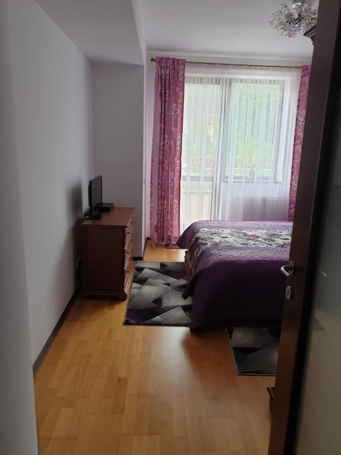 シナヤSophie Apartamentアパートメント エクステリア 写真