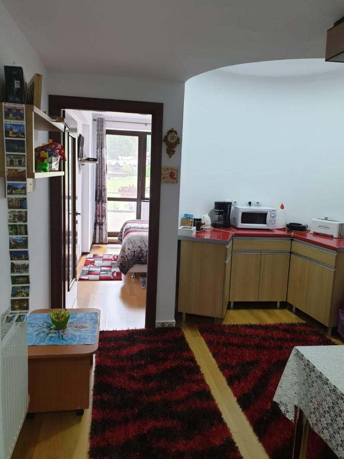 シナヤSophie Apartamentアパートメント エクステリア 写真