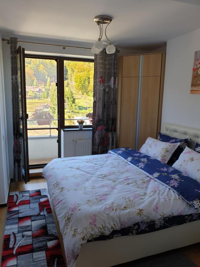 シナヤSophie Apartamentアパートメント エクステリア 写真