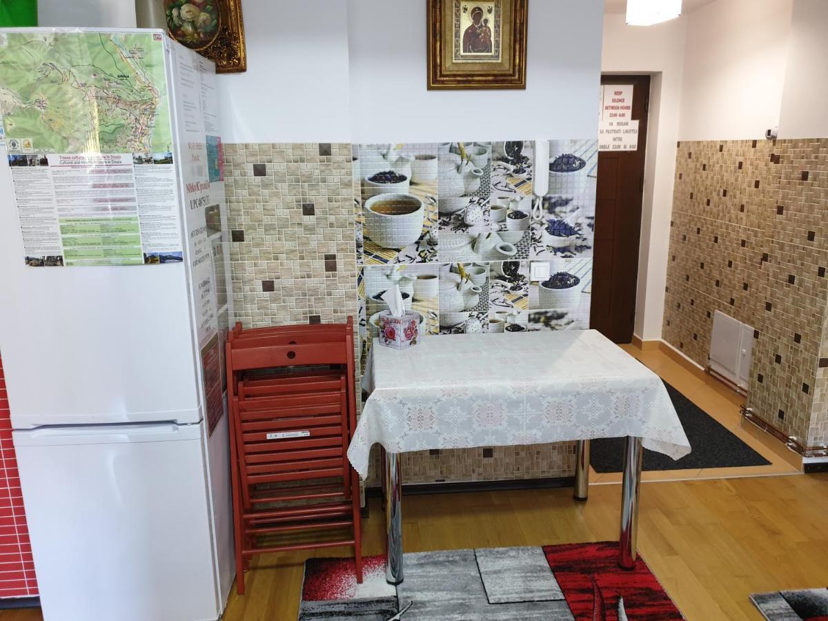 シナヤSophie Apartamentアパートメント エクステリア 写真