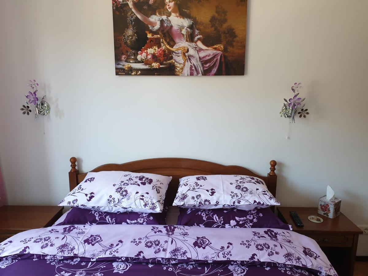 シナヤSophie Apartamentアパートメント エクステリア 写真