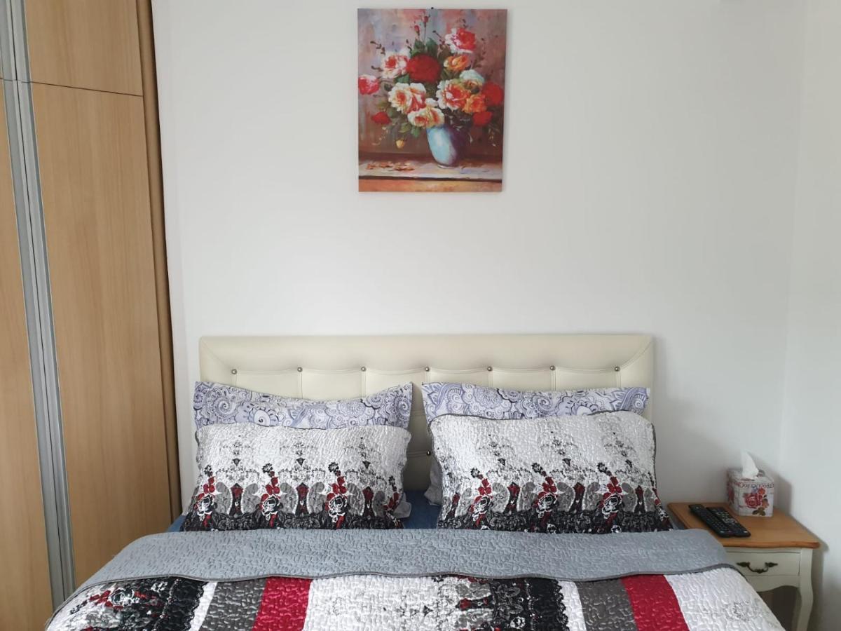 シナヤSophie Apartamentアパートメント エクステリア 写真