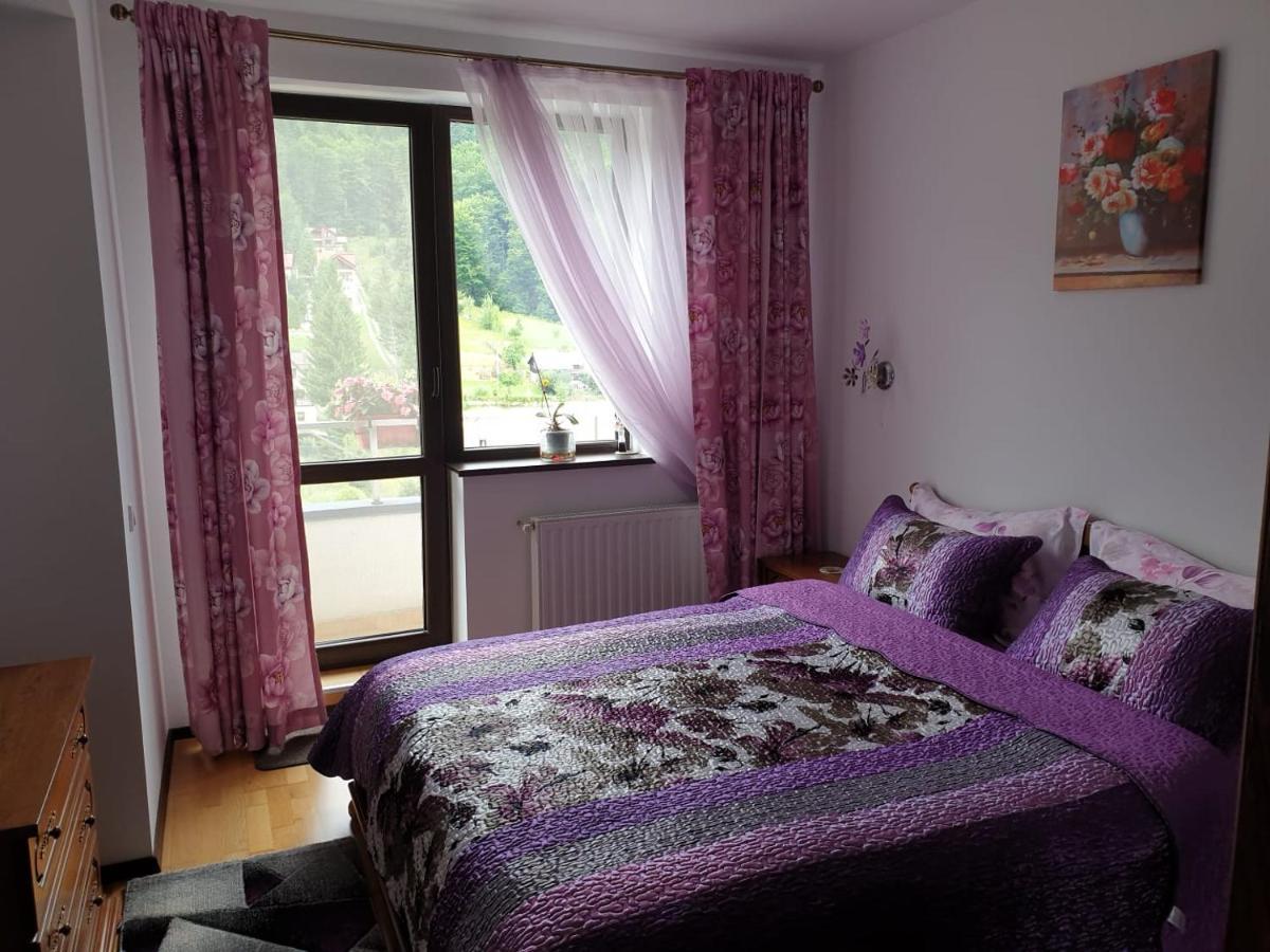 シナヤSophie Apartamentアパートメント エクステリア 写真